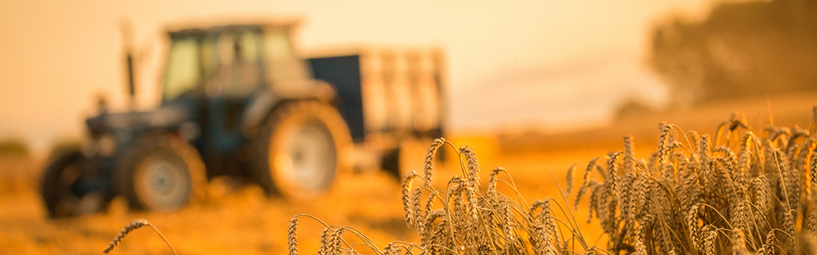 Agricultural-Machinery-in-Zimbabwe.jpg